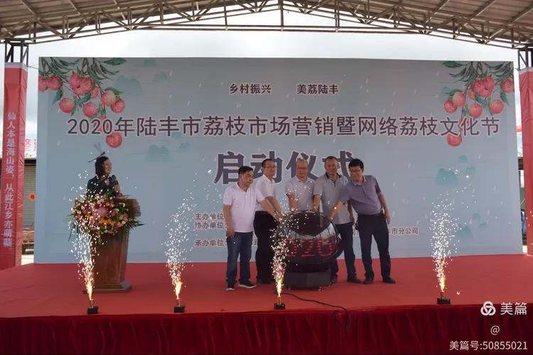 2020年陆丰市荔枝市场销售营销暨网络荔枝文化节